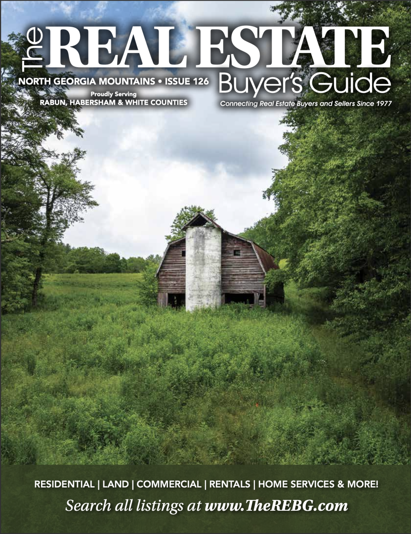  North GA Mountains Real Estate